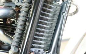 TRIUMPH SCRAMBLER 900 2007 TJ9171