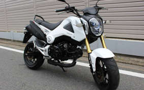 HONDA GROM JC61