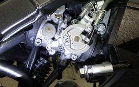 KAWASAKI KLX250D TRACKER X 2017 LX250V