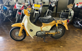 HONDA LITTLE CUB AA01