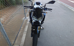 KAWASAKI Z250ABS EX250P