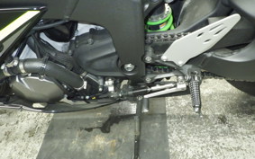 KAWASAKI NINJA ZX-6R A 2019 ZX636G