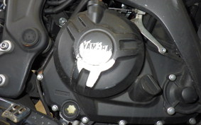 YAMAHA YZF-R3 2019 RH13J