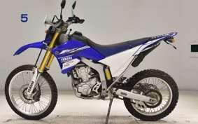YAMAHA WR250R 2019 DG15J