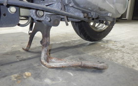 HONDA TODAY 2020 AF61