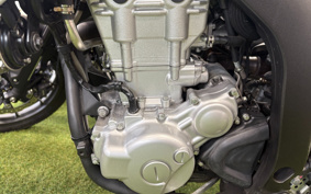 YAMAHA WR250X DG15J