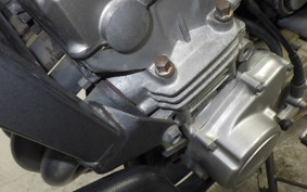 HONDA HORNET 250 2011 MC31