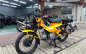 HONDA CT125 HUNTER CUB JA65