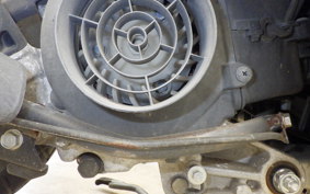 HONDA DIO Gen.6 AF68