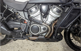 HARLEY PAN AMERICA 1250 SPECIAL 2022 ZES