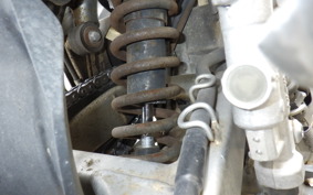 YAMAHA TRICKER DG10J