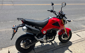 HONDA GROM JC61