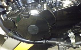 YAMAHA SRX250 2021 51Y