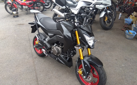 KAWASAKI Z125 PRO BR125H