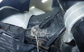 YAMAHA FZ1 FAZER 2009 RN21J