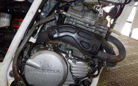 HONDA XR250R 2025