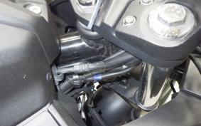 SUZUKI ｼﾞｸｻｰ250SF 2021 ED22B