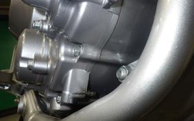 HONDA CRF250L 2024 MD44