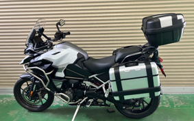 TRIUMPH TIGER 1200GTEKUSUP 2024 TAP24V