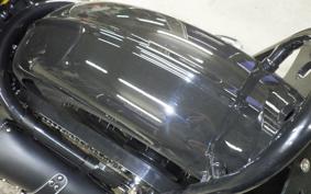 OTHER UNREGISTERED MODEL by BDS250 2024