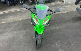 KAWASAKI NINJA 250 EX250Y