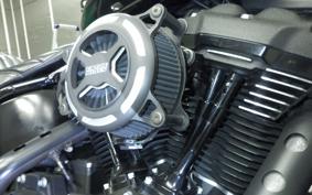 HARLEY FXBB1750 2020