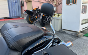 HARLEY FLFBS 2021 YGK