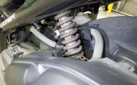 HONDA ZOOMER 2025 AF58