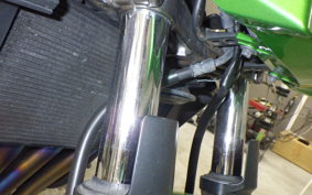 KAWASAKI ZRX1200 D 2013 ZRT20D
