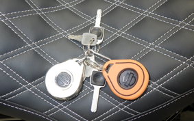 HARLEY FXBRS1870 2020