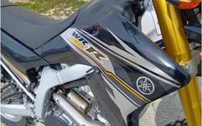 YAMAHA WR250R DG15J