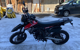 KAWASAKI KLX125D TRACKER X LX250V