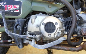 HONDA CT125 HUNTER CUB 2025 JA55