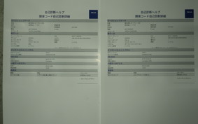 HONDA CBR250RR A MC51