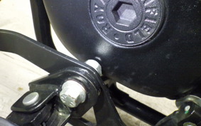 OTHER +ENFIELD ﾒﾃｵ350 2022