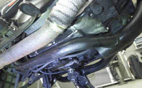 KAWASAKI 250TR 2024 BJ250F