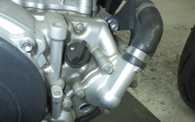 YAMAHA WR250X DG15J