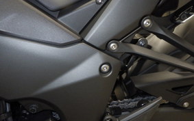 KAWASAKI NINJA 1100SX 2025