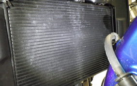 YAMAHA XSR900 2023 RN80J