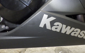 KAWASAKI NINJA 250 2025 EX250L