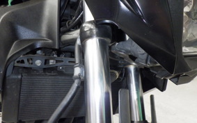 KAWASAKI Z250 ER250C