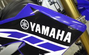 YAMAHA WR250R 2019 DG15J