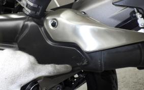 DUCATI MONSTER 821 2018