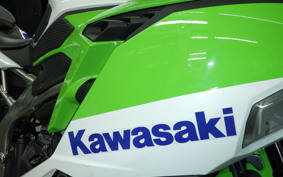 KAWASAKI ZX-4RR 2024 ZX400P