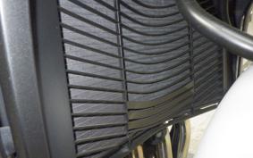 YAMAHA FZ1 FAZER 2011 RN21J