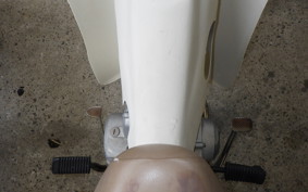 HONDA LITTLE CUB E AA01