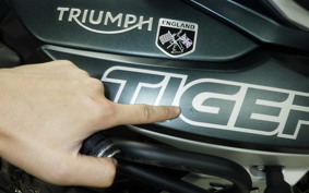 TRIUMPH TIGER 800 XC A 2019