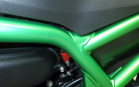 KAWASAKI ZH2 SE 2022