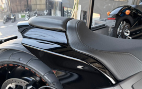 HARLEY FXDR114 2019 YVK
