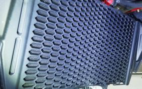 DUCATI HYPERMOTARD698モノ 2024